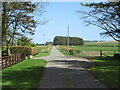 Road at Nether Backieley