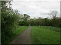 Footpath, Thoroughsale Wood, Corby