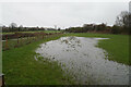 Flooded field near Avenue Farm