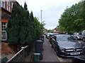 Bin day in Recreation Road