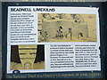 NU2328 : Information  board  at  Disused  Limekilns  Beadnell  Harbour by Martin Dawes