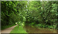 Monmouthshire and Brecon Canal