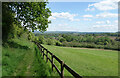 Footpath by Piddles Wood