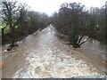 Alwen River near Melin Rhug