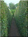 Footpath from Maes Mawr Close