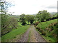 Llwybr Farm yr Ynys / Ynys Farm path