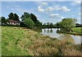 Pond at Hollybed Common