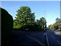 Approaching the junction of London Road and St Mildred