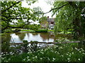 Duck pond at Pickthorn Farm