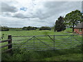 Looking towards the moat behind Pickthorn Farm