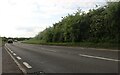 The A6116, Sudborough Road