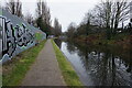 Walsall Canal towards Pagett