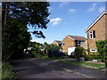 Houses in The Paddocks