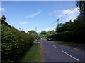 Looking eastwards in Flexford Lane