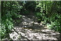 Bridge over stream, Buttocks Bank Wood