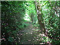 Llwybr ceffyl Pont y Cwm / Pont y Cwm bridleway