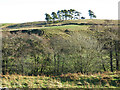 The valley of Rowley Burn south of Crabtree Ford