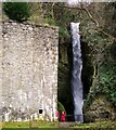 Afon Ffyddion Waterfall