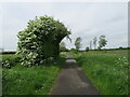 Dismantled railway near Slingsby