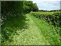 SO6885 : Grassy pathway to Sidbury church by Jeremy Bolwell