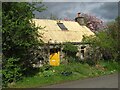 Cottage with painted roof