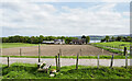 Earthen field at Balgunloune