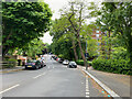 South and uphill on Farquhar Road, Crystal Palace