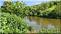 River Severn near Highley