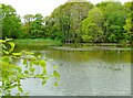 Curtains Pond