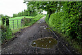 Rough lane, Cavanacaw Lower