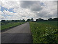 Road near Croome Perry Wood