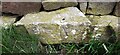 Benchmark on stone in wall on east side of Redcar Lane