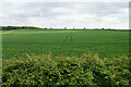 Farmland on Bolsover Moor