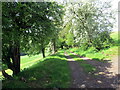 Llwybr Alltybwla Hen / Alltybwla Hen path