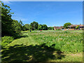 Path towards Ifield Mill Pond, Gossops Green, Crawley