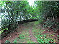 Llwybr Pentregwine Fach / Pentregwine Fach path