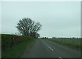 NU2419 : Sheep  pasture  alongside  road  to  Embleton by Martin Dawes