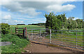 Grassland near Hay Close