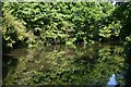 Below Lock No. 5, Basingstoke Canal