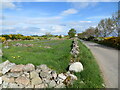 Minor road at Moyness Stone Circle