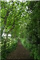 SE6649 : Path to Gipsey Corner by DS Pugh