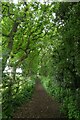 Path to Gipsey Corner