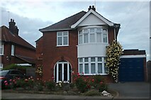 TM1646 : House on Woodstone Avenue, Ipswich by David Howard