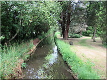 TL4556 : Vicar's Brook off Brooklands Avenue, Cambridge by Roy Hughes