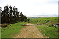 Track to Bouthwaite by Quarry Wood