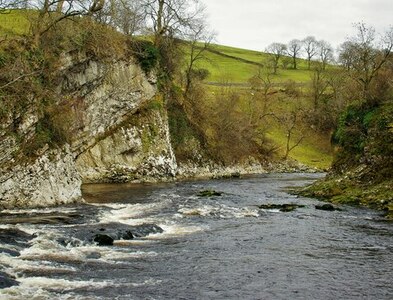 SE0261 : Loup Scar by Kevin Waterhouse