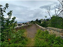 NO4102 : The Viaduct in Lower Largo by Aleks Scholz