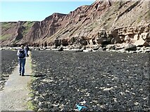 TA1281 : Cliffs at the north end of Filey Sands by Oliver Dixon