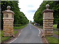 York Road, Goldsborough