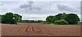 Farmland near Great Budworth